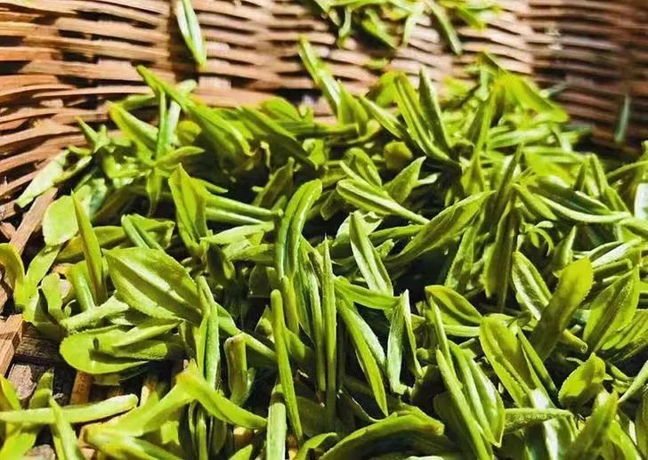 紫阳富硒茶 有机(紫阳茶富硒茶)-硒宝网