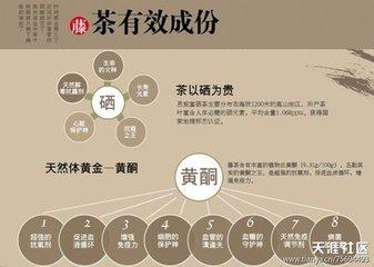 雨露茶业 富硒茶(天方茶业富硒茶)-硒宝网