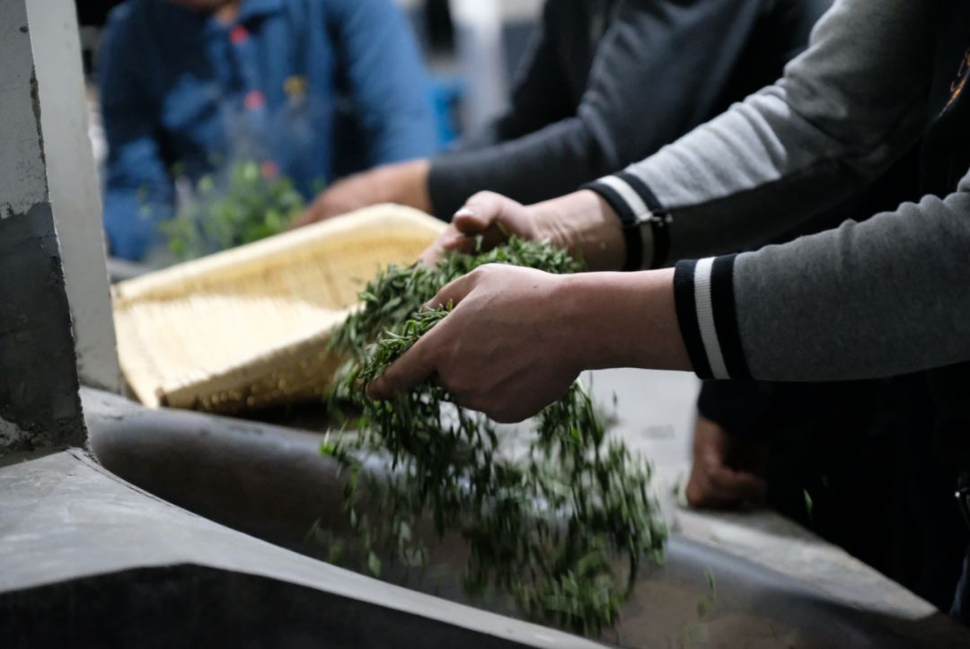 紫阳富硒茶 有机（紫阳富硒茶中的硒是什么）-硒宝网