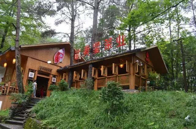 富硒茶 达州专卖(达州富硒茶产地)-硒宝网