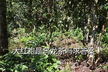 茶出有茗富硒藤茶(富硒藤茶多少钱一斤)-硒宝网