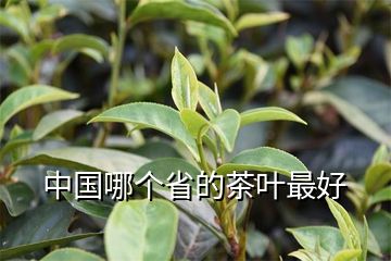茶出有茗富硒藤茶(富硒藤茶多少钱一斤)-硒宝网