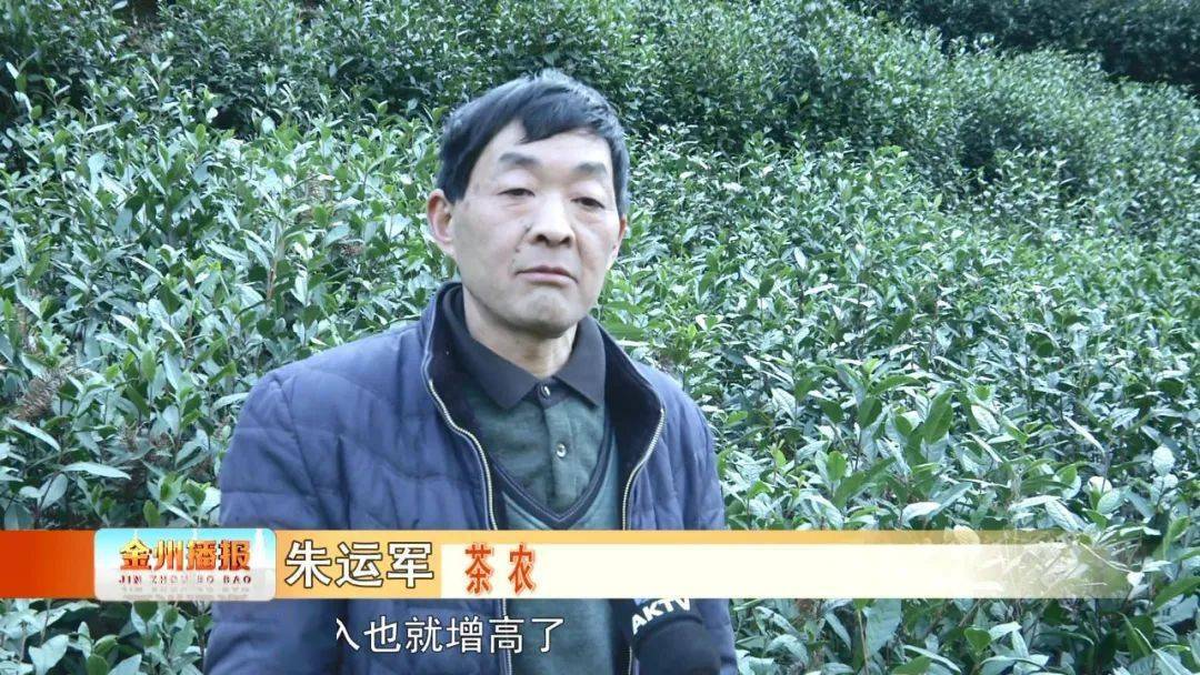 黒茶是不是富硒茶(富硒茶真的含硒元素吗)-硒宝网