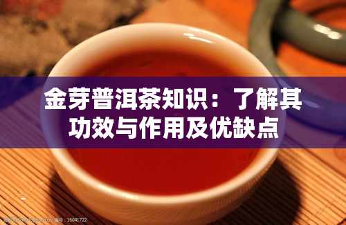 恩施富硒茶功夫茶（恩施富硒茶厂）-硒宝网