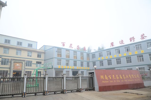 富硒茶硒字怎么样(富硒茶的口感特点)-硒宝网