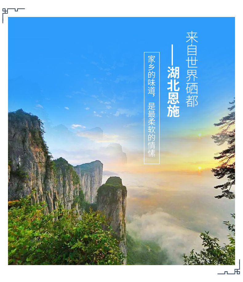 香港恩施富硒贡茶(恩施贡茶多少钱一斤)-硒宝网