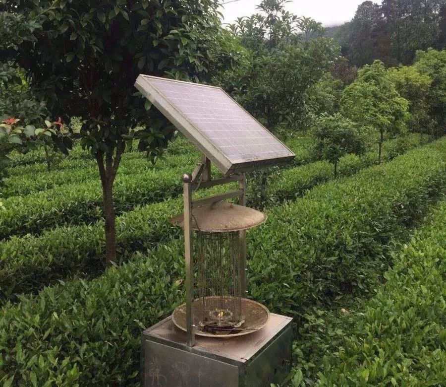 茶凌春富硒有机茶(茶凌春富硒有机茶)-硒宝网