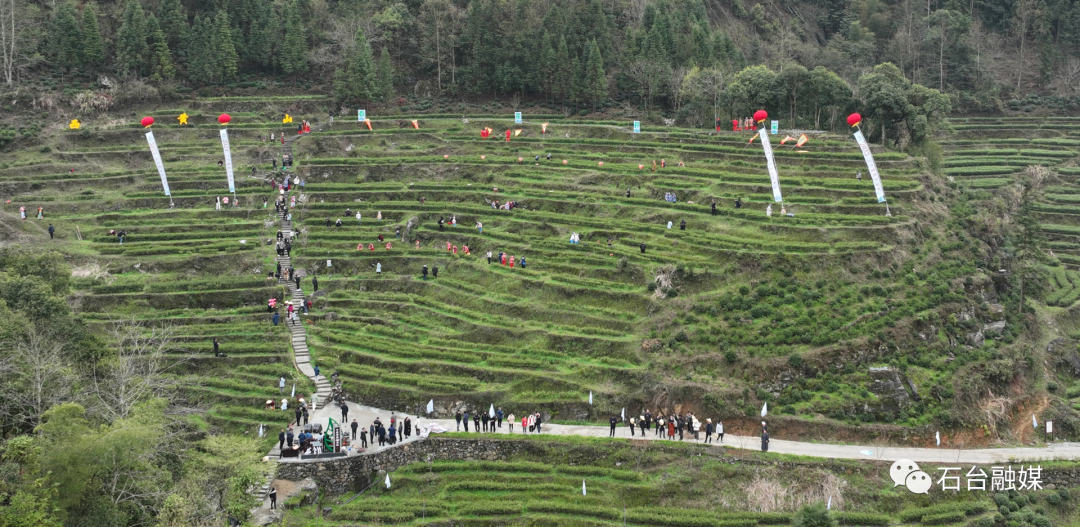 石台富硒茶的优点（石台富硒茶叶）-硒宝网