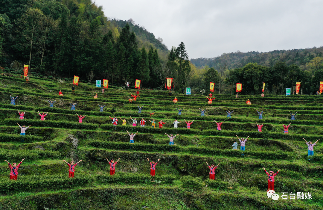 石台富硒茶的优点（石台富硒茶叶）-硒宝网