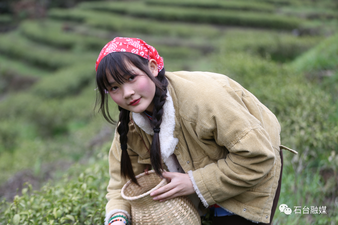 石台富硒茶的优点（石台富硒茶叶）-硒宝网