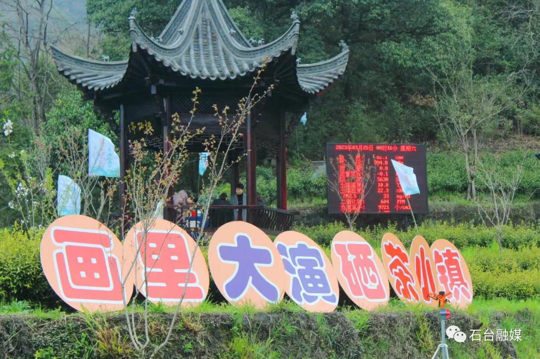 石台富硒茶的优点（石台富硒茶叶）-硒宝网