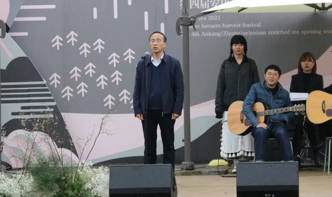 春之茶紫阳富硒茶（紫阳富硒绿茶价格）-硒宝网