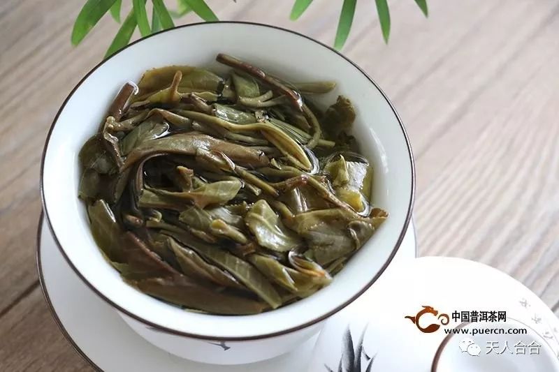 天天喝富硒茶好吗(喝富硒茶有什么坏处)-硒宝网