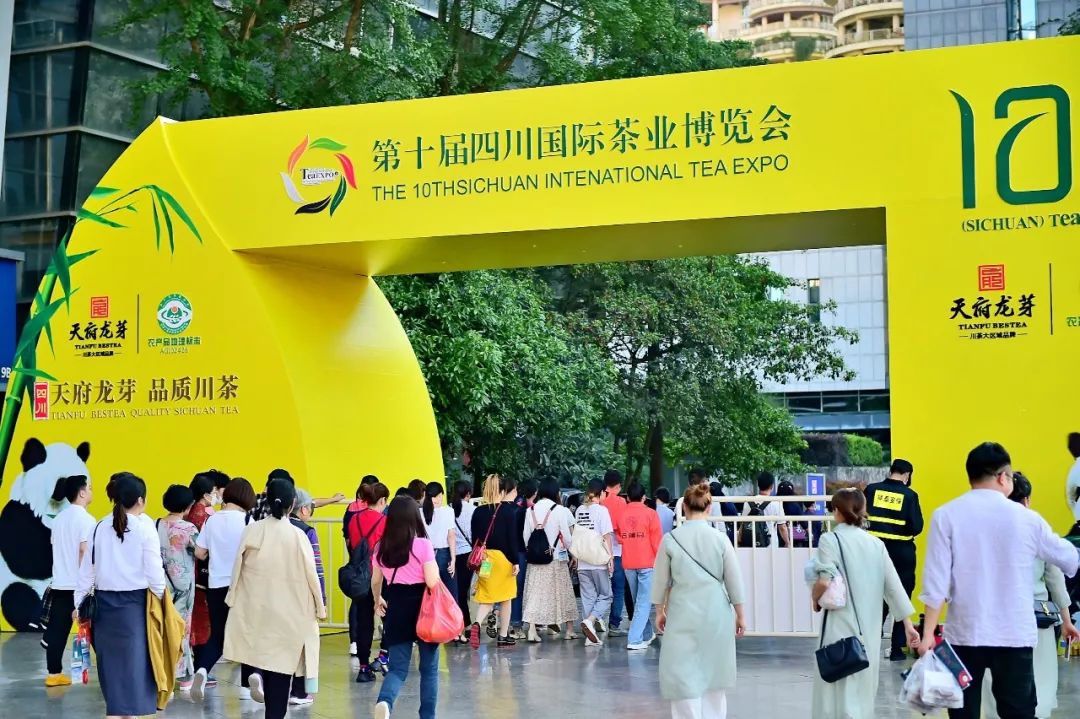 达州富硒茶是哪里(富硒茶园)-硒宝网