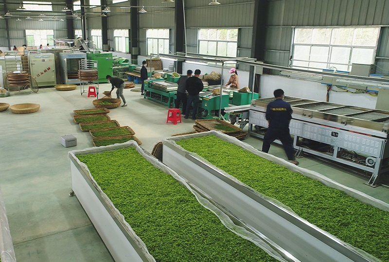 好喝的富硒茶公司（富硒茶文化）-硒宝网