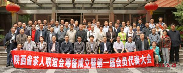 陕西最好的富硒茶(陕西茶富硒好不好喝)-硒宝网