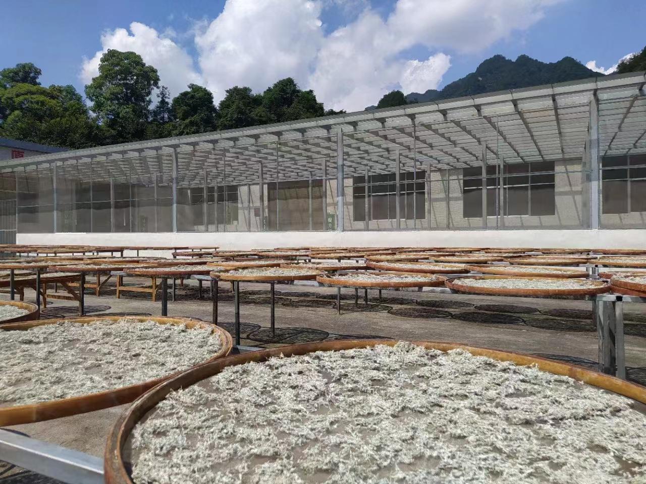 正宗土家富硒莓茶（茶莓是什么）-硒宝网