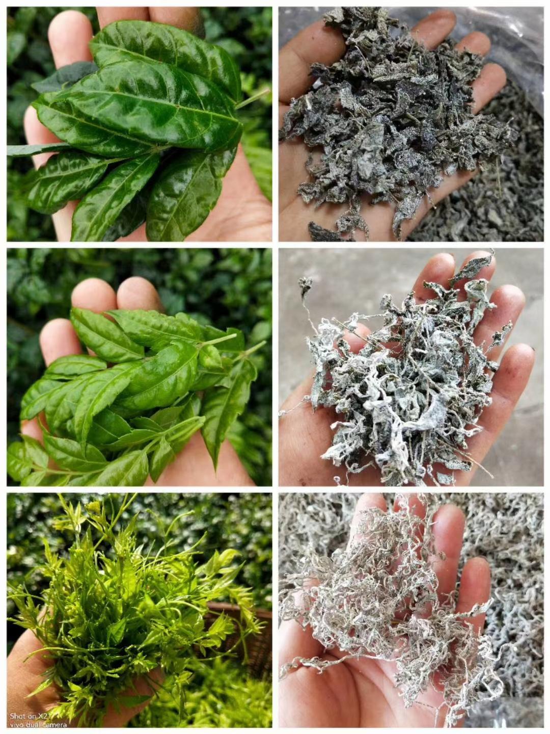 正宗土家富硒莓茶（茶莓是什么）-硒宝网