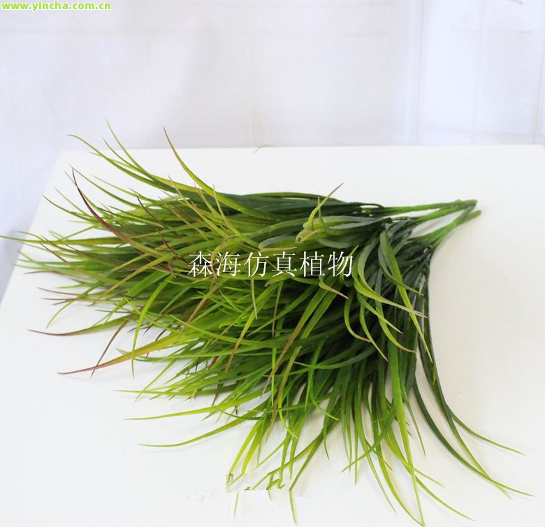 富硒藤茶真假区别（富硒藤茶的骗局）-硒宝网