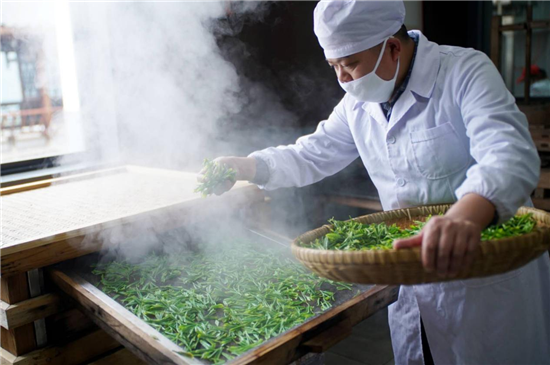 富硒茶的技术传承（富硒茶制作工艺）-硒宝网