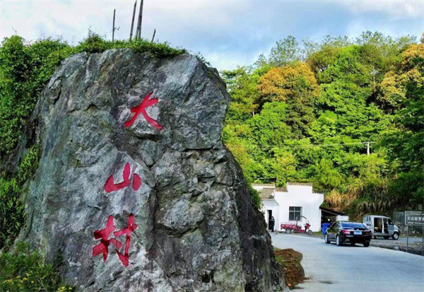 大同大山村富硒茶（大山村富硒茶价格）-硒宝网