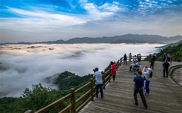 大同大山村富硒茶（大山村富硒茶价格）-硒宝网