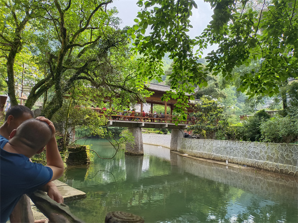 大同大山村富硒茶（大山村富硒茶价格）-硒宝网