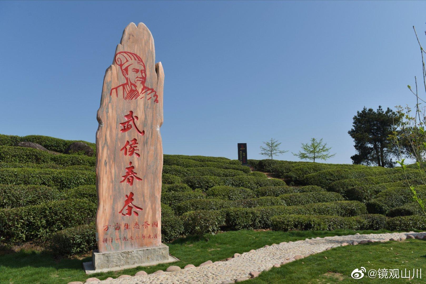 陕西最好的富硒茶（陕西富硒茶多少钱一斤）-硒宝网