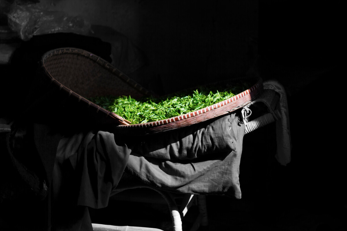 好喝的富硒茶公司(富硒茶饮料)-硒宝网