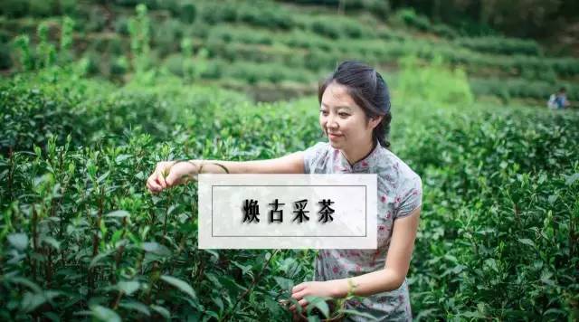 陕南富硒茶有哪些（陕西富硒茶多少钱一斤）-硒宝网
