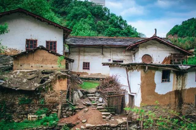 陕南富硒茶有哪些（陕西富硒茶多少钱一斤）-硒宝网