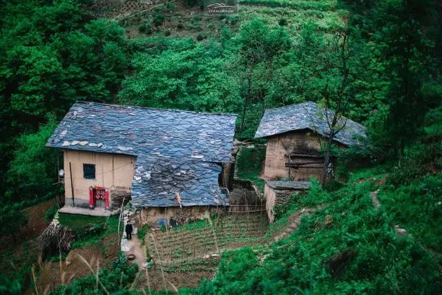 陕南富硒茶有哪些（陕西富硒茶多少钱一斤）-硒宝网