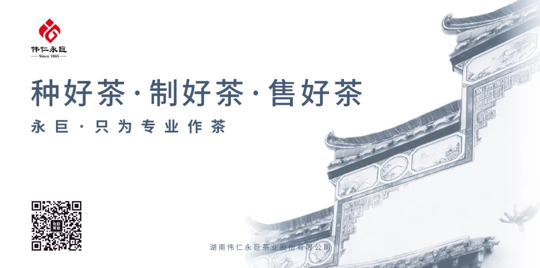 湖北恩施富硒抹茶（恩施抹茶基地）-硒宝网