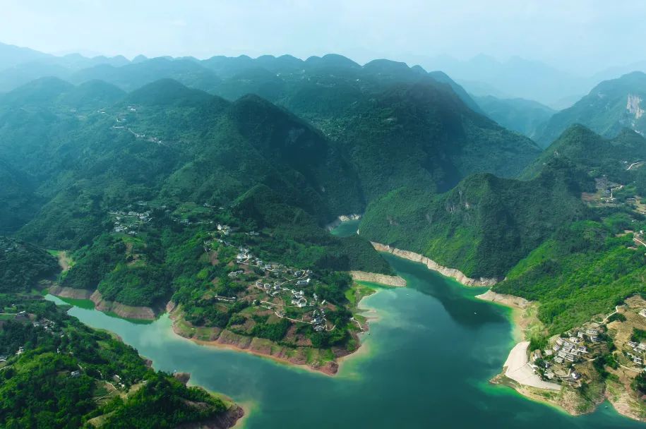 湖北恩施富硒抹茶（恩施抹茶基地）-硒宝网