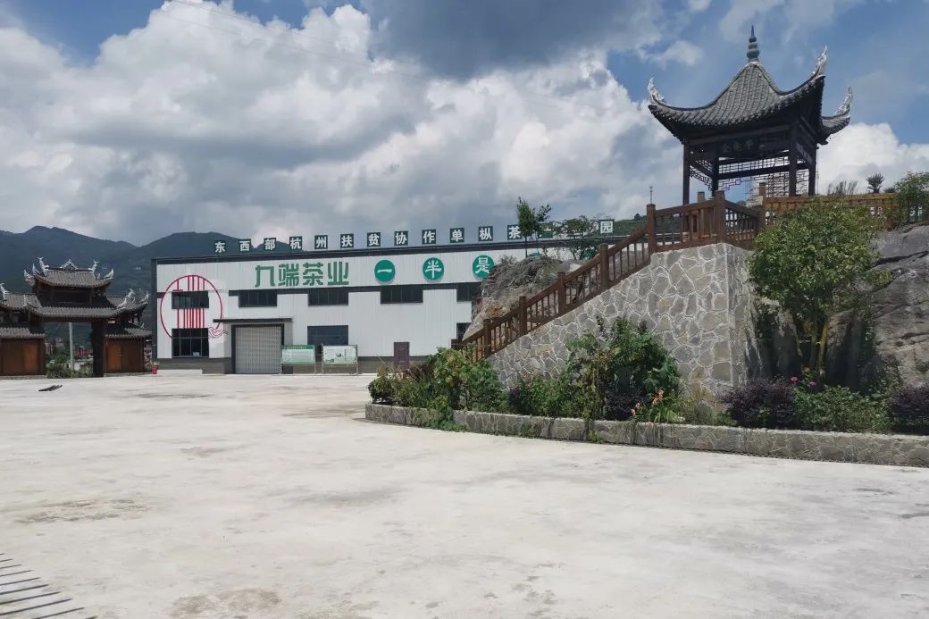 湖北恩施富硒抹茶（恩施抹茶基地）-硒宝网