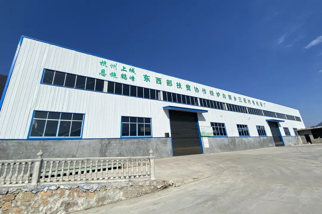 湖北恩施富硒抹茶（恩施抹茶基地）-硒宝网