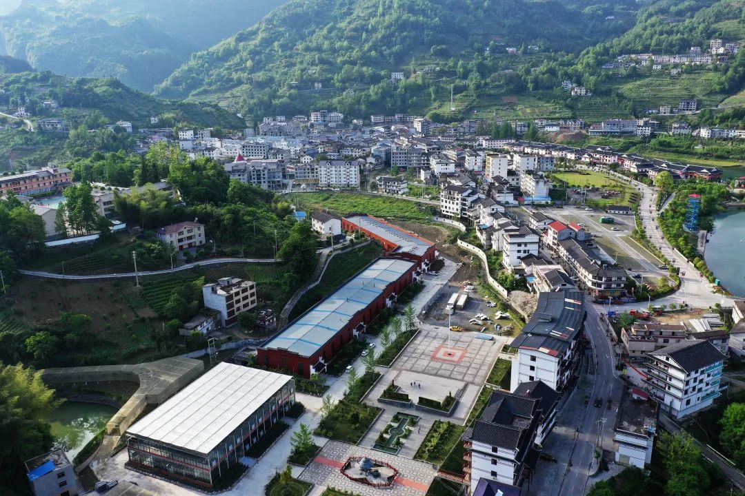 湖北恩施富硒抹茶（恩施抹茶基地）-硒宝网