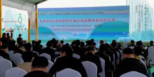 安康富硒茶的特点(安康富硒茶是绿茶吗)-硒宝网