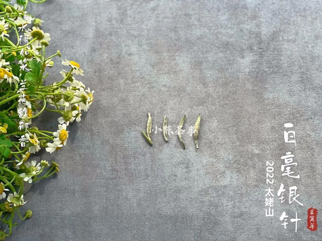 云南富硒白茶散茶（富硒白茶是白茶吗）-硒宝网