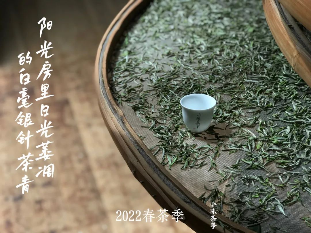云南富硒白茶散茶（富硒白茶是白茶吗）-硒宝网