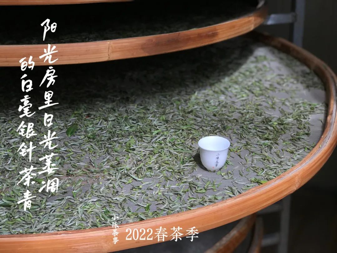 云南富硒白茶散茶（富硒白茶是白茶吗）-硒宝网