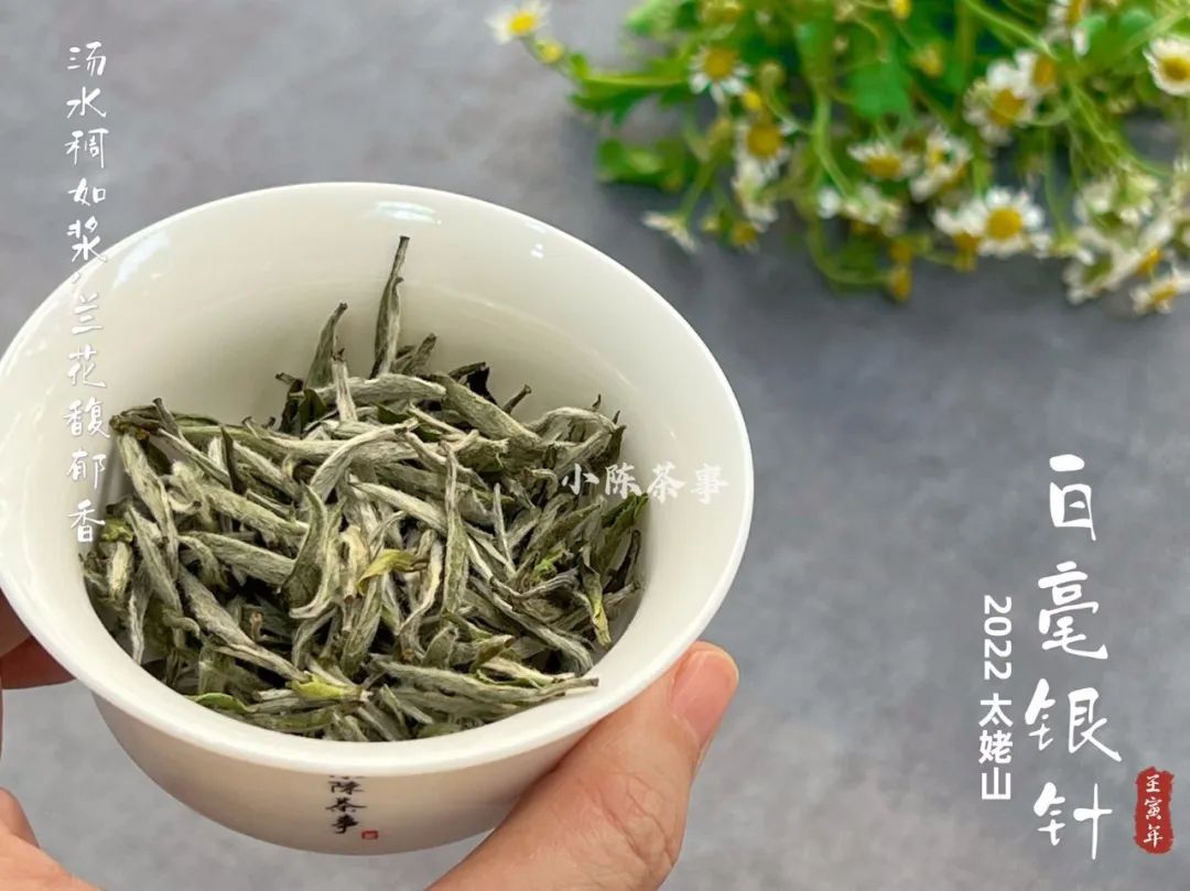 云南富硒白茶散茶（富硒白茶是白茶吗）-硒宝网