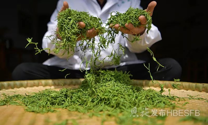 湖北特产富硒贡茶(湖北富硒茶是绿茶吗)-硒宝网