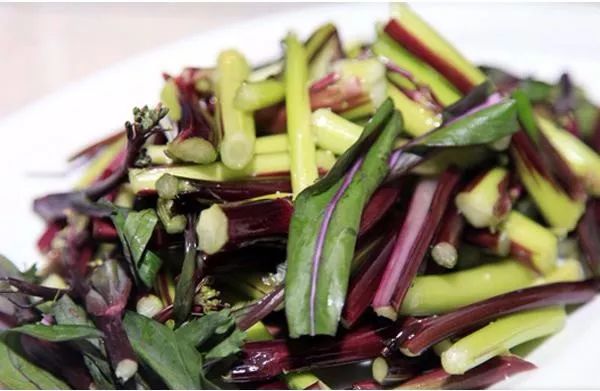 湖北特产富硒贡茶(湖北富硒茶是绿茶吗)-硒宝网