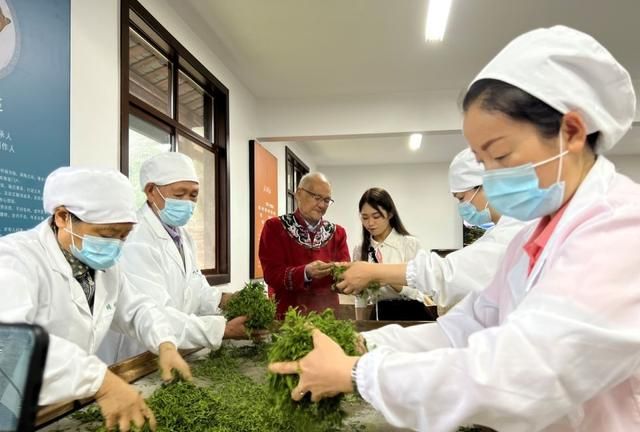 紫阳富硒茶的竞争(紫阳富硒茶的竞争对手)-硒宝网