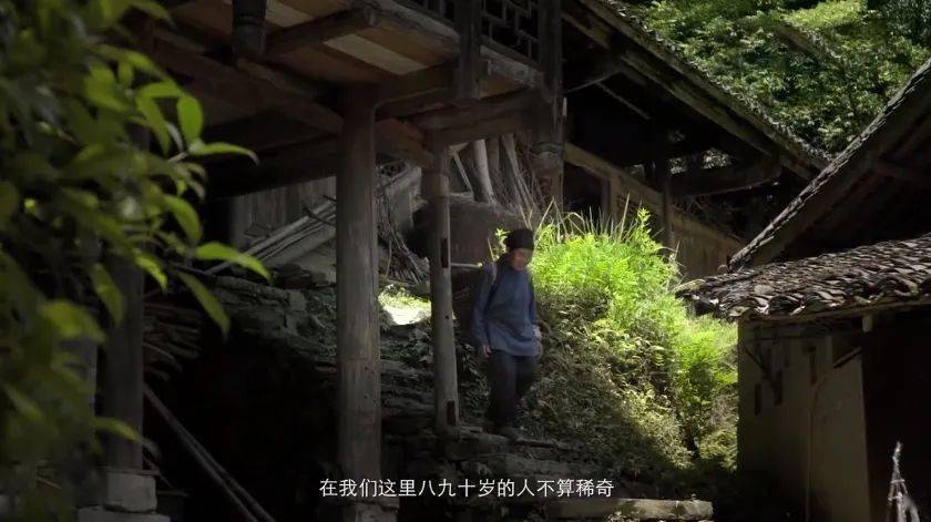 富硒藤茶怎么卖货（富硒藤茶多少钱一斤）-硒宝网