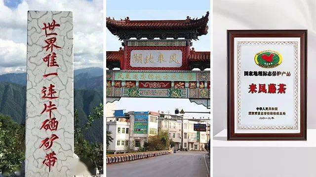 富硒藤茶怎么卖货（富硒藤茶多少钱一斤）-硒宝网