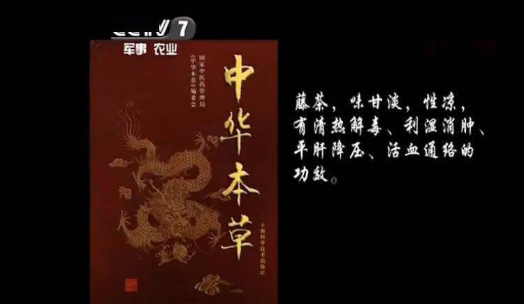 富硒藤茶怎么卖货（富硒藤茶多少钱一斤）-硒宝网