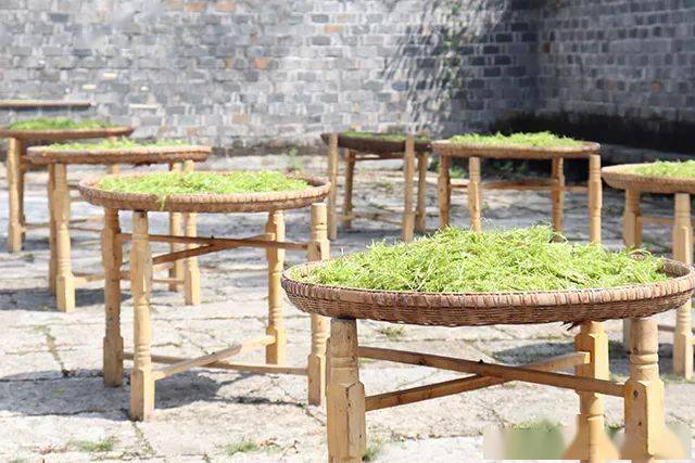 富硒藤茶怎么卖货（富硒藤茶多少钱一斤）-硒宝网