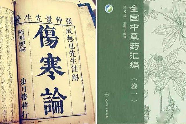 富硒藤茶怎么卖货（富硒藤茶多少钱一斤）-硒宝网